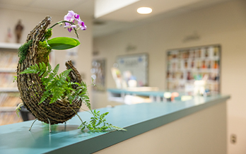 Flower in wicker pot on front desk of dental office in Mercerville