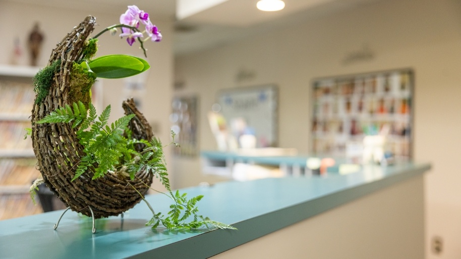 Plant in wicker vase at front desk